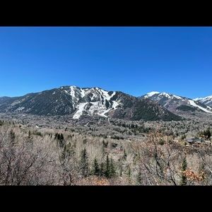 Meet your Posher, Betsy